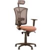 Офисное кресло PILOT R net PL64 Офисное кресло PILOT R net PL64